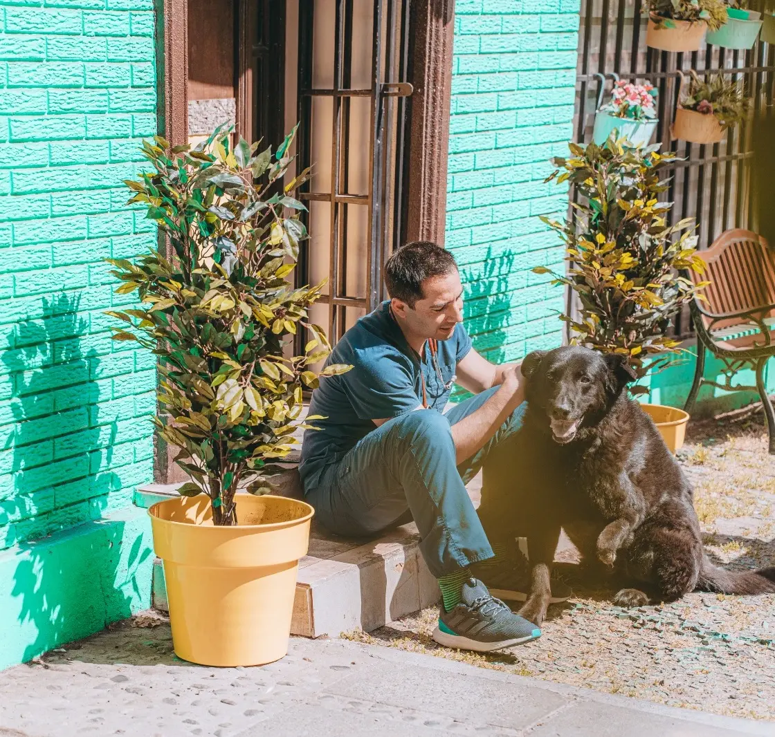 Consulta Veterinaria